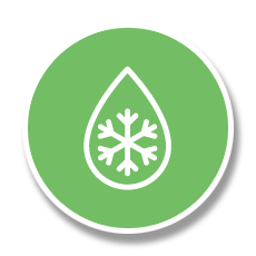 Cleanse and Lifestyle Plans